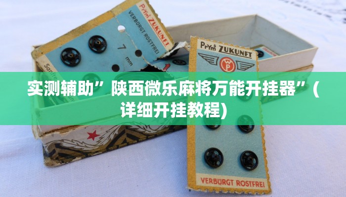 实测辅助”陕西微乐麻将万能开挂器”(详细开挂教程)