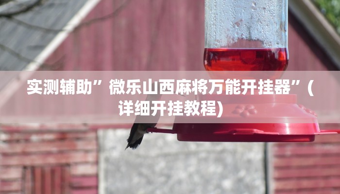 实测辅助”微乐山西麻将万能开挂器”(详细开挂教程)
