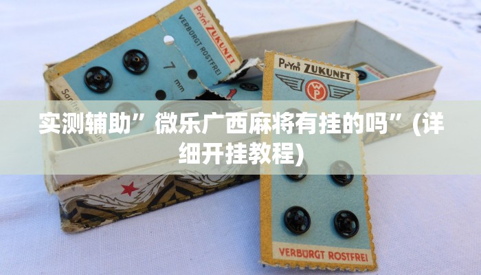 实测辅助”微乐广西麻将有挂的吗”(详细开挂教程)
