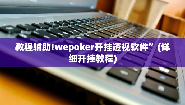 教程辅助!wepoker开挂透视软件”(详细开挂教程)