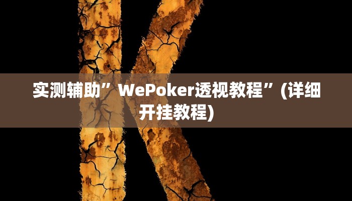 实测辅助”WePoker透视教程”(详细开挂教程)