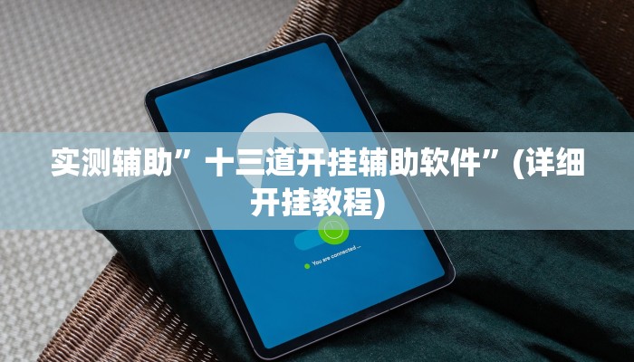 实测辅助”十三道开挂辅助软件”(详细开挂教程)