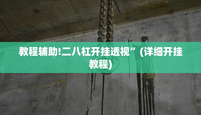教程辅助!二八杠开挂透视”(详细开挂教程)