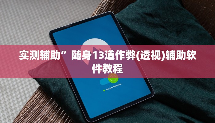 实测辅助”随身13道作弊(透视)辅助软件教程