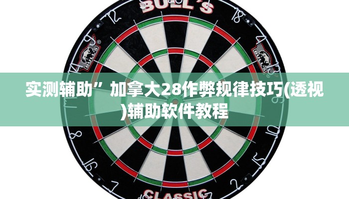 实测辅助”加拿大28作弊规律技巧(透视)辅助软件教程