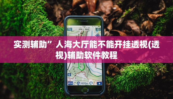 实测辅助”人海大厅能不能开挂透视(透视)辅助软件教程