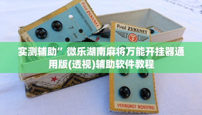 实测辅助”微乐湖南麻将万能开挂器通用版(透视)辅助软件教程