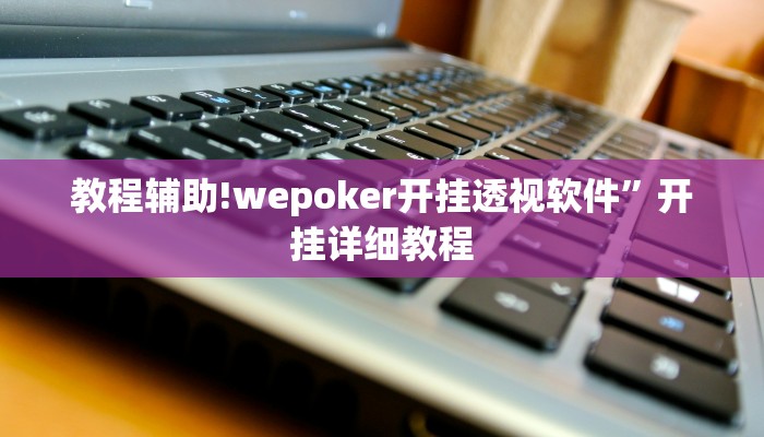 教程辅助!wepoker开挂透视软件”开挂详细教程