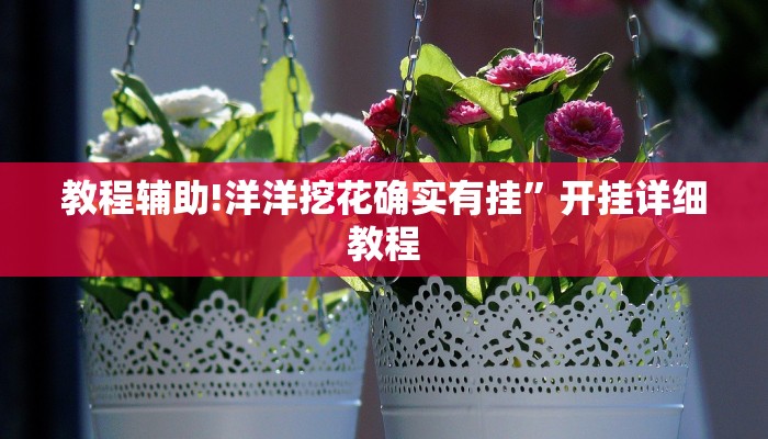 教程辅助!洋洋挖花确实有挂”开挂详细教程