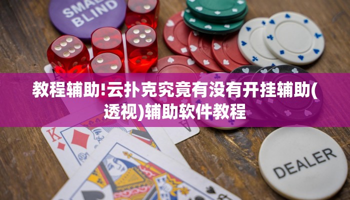 教程辅助!云扑克究竟有没有开挂辅助(透视)辅助软件教程